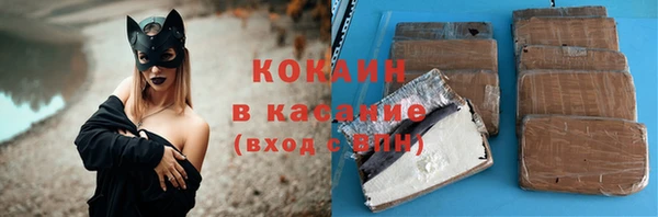 твердый Алзамай