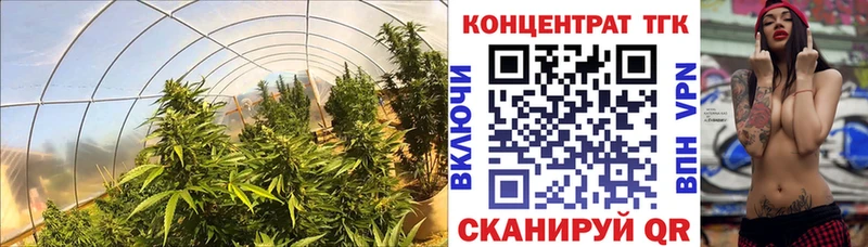 ТГК вейп с тгк  Избербаш 