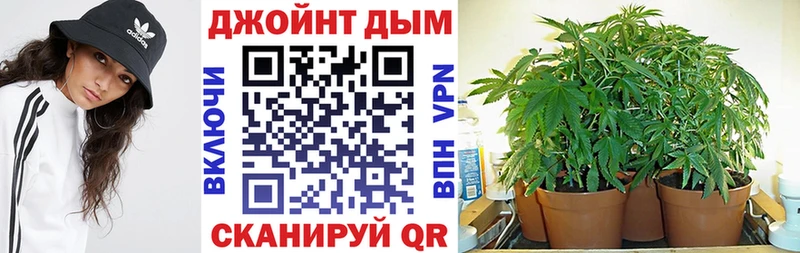 Бошки Шишки Amnesia  shop клад  Избербаш 